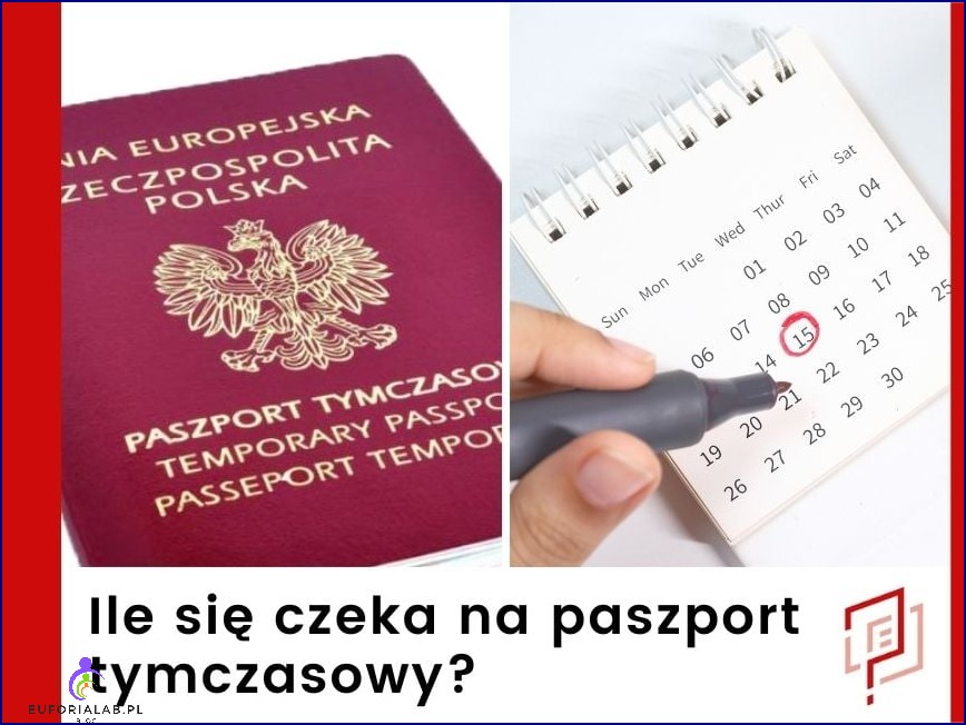 Paszport dla dziecka 2022 cena wnioski dokumenty